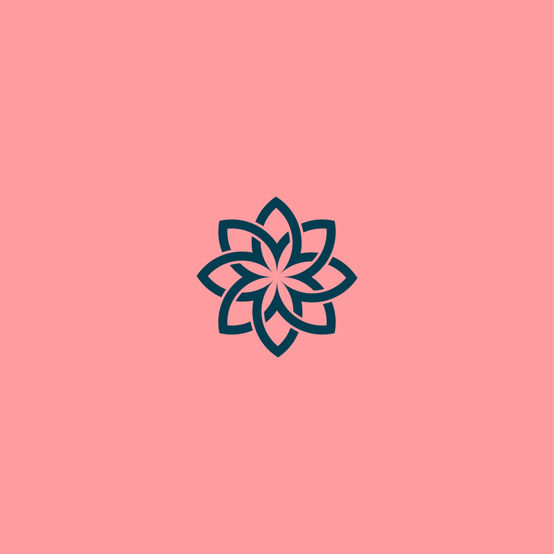 Luli Clean Visual Identity